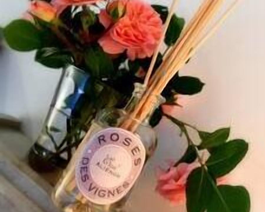 Photo of Others in Libourne