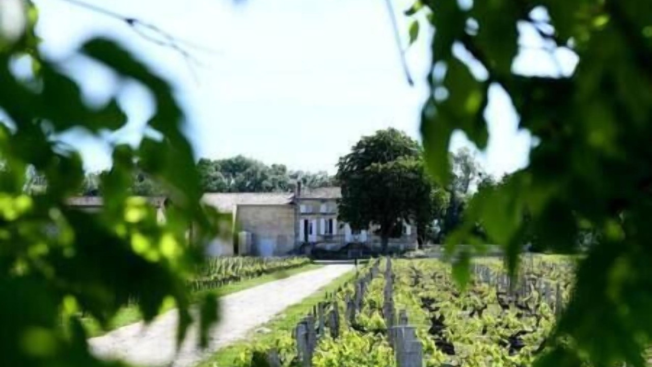 Photo of Outdoor in Libourne