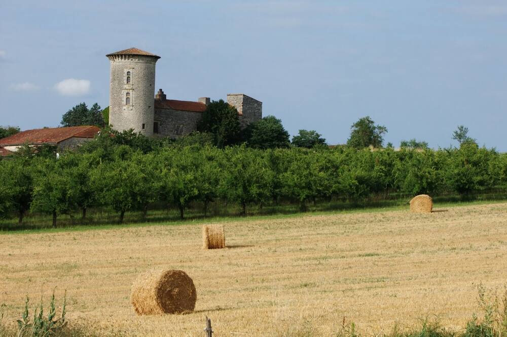 Photo of Outdoor in Montayral