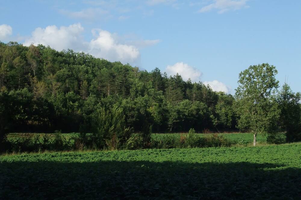 Photo of Outdoor in Montayral