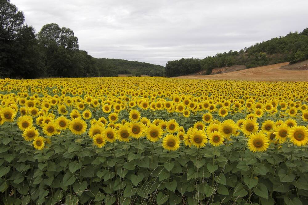 Photo of Outdoor in Montayral