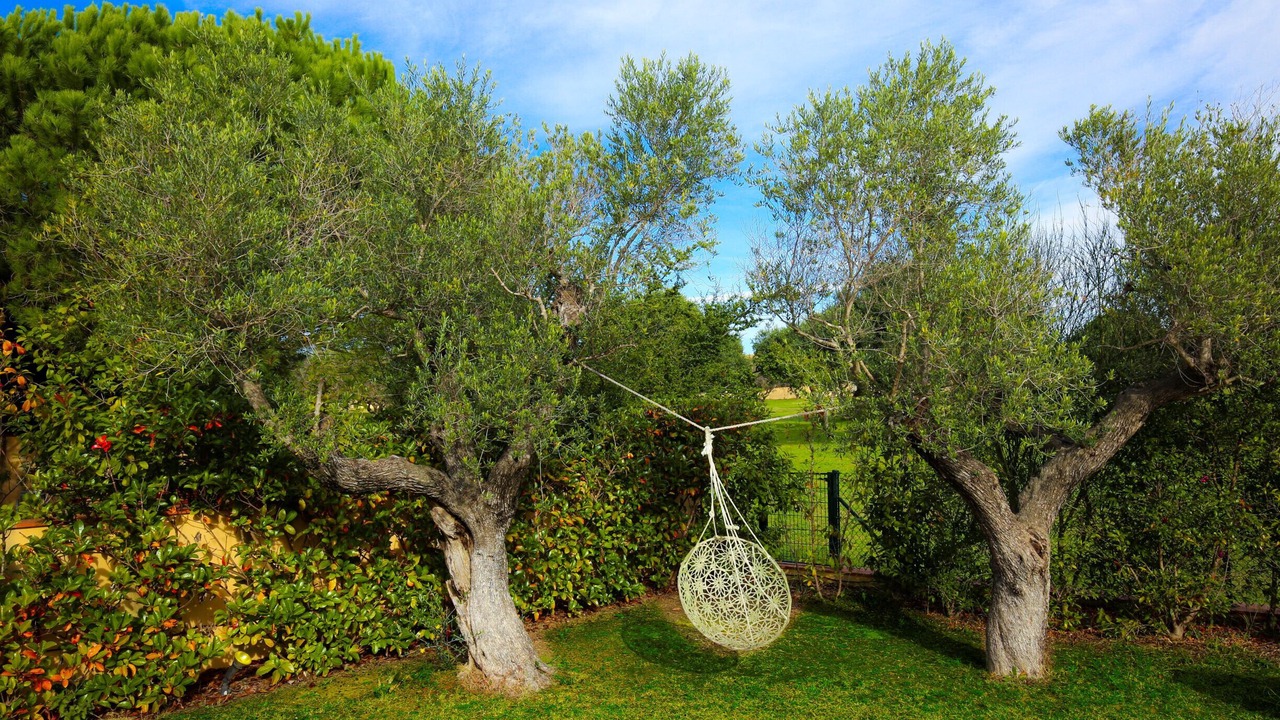 Photo of Outdoor in Reus