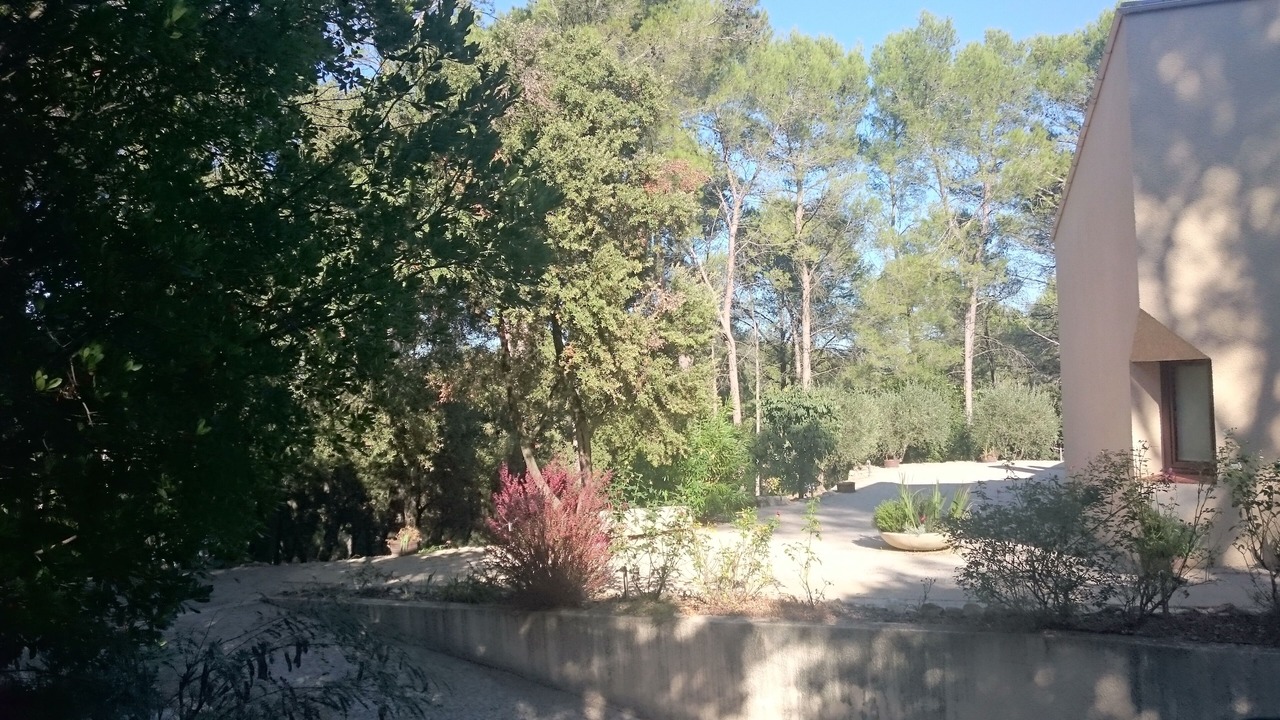 Photo of Outdoor in Saint-Clement-de-Riviere