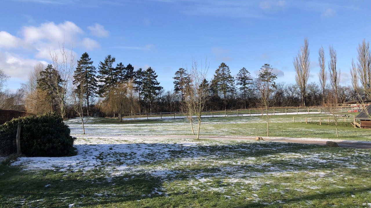Photo of Outdoor in Vedbaek