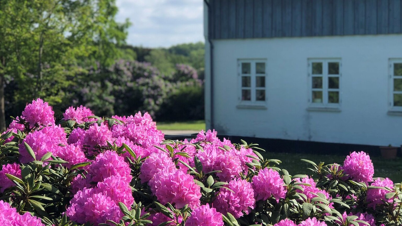 Photo of Outdoor in Vedbaek