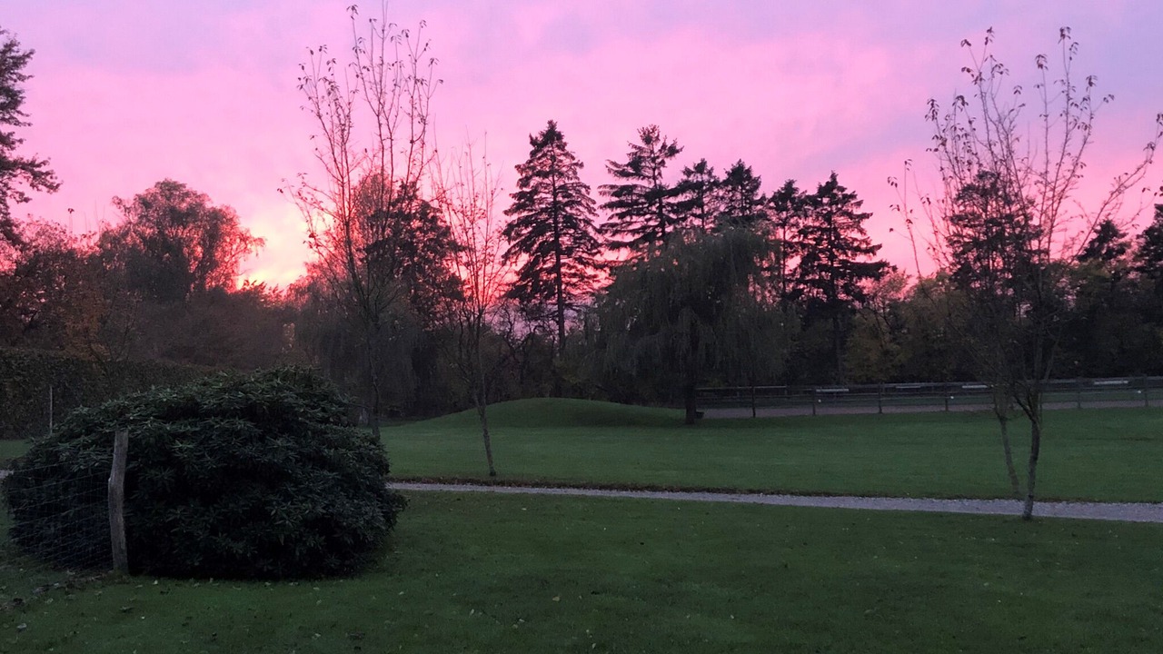 Photo of Outdoor in Vedbaek