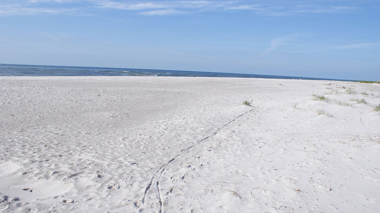 Photo of Others in Gudhjem