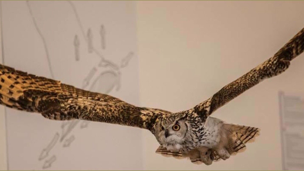 Photo of Others in Gudhjem