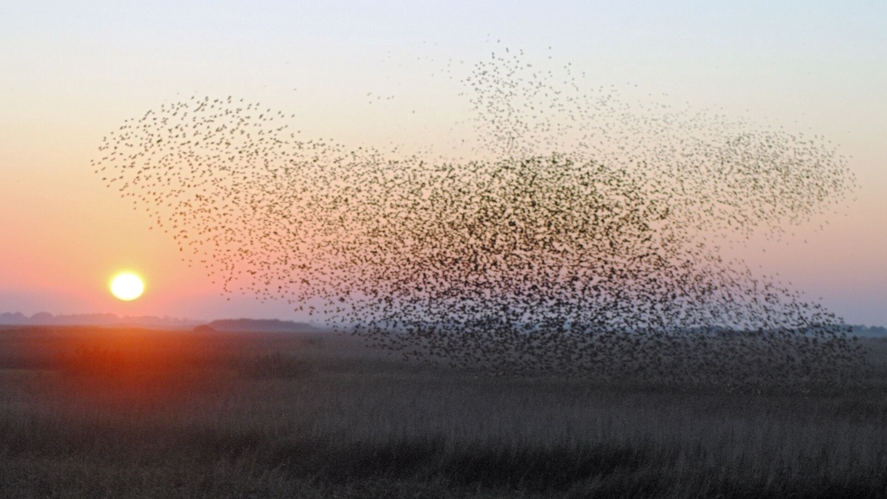 Photo of Others in Tonder