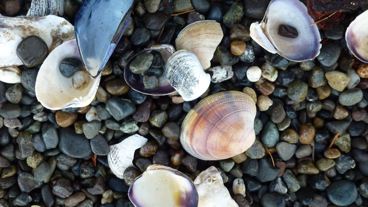 Photo of Others in Agate