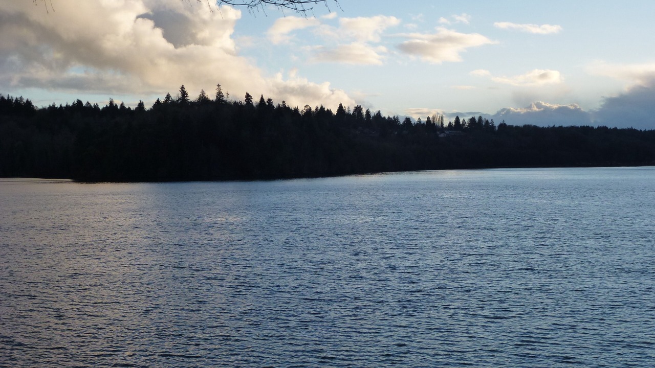 Photo of Others in Agate