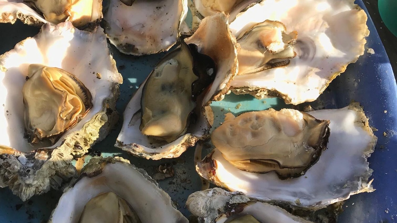 Photo of Others in Agate