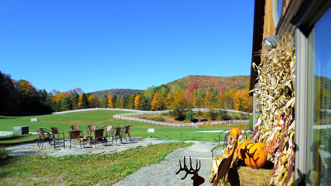 Photo of Outdoor in Fishs Eddy