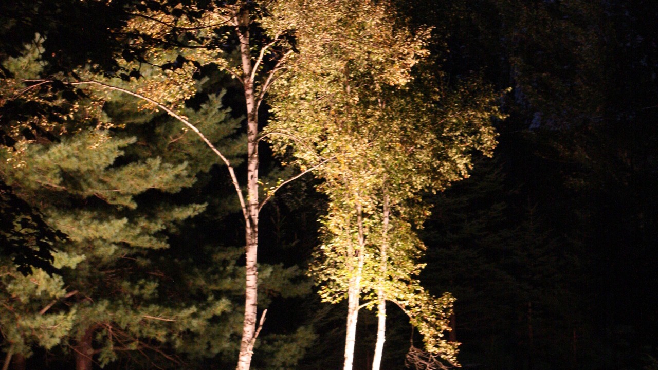 Photo of Outdoor in Chester