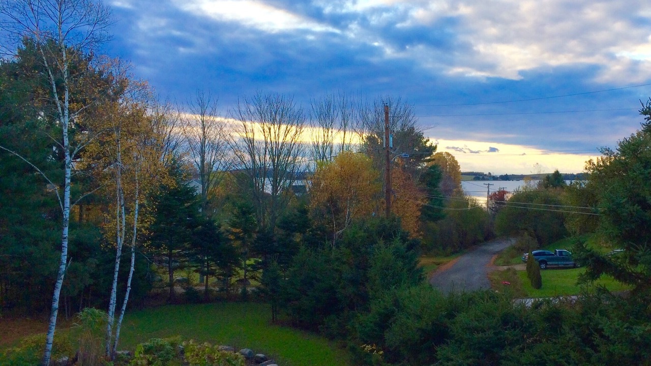 Photo of Outdoor in Chester