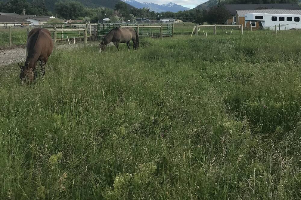 Photo of Others in Livingston