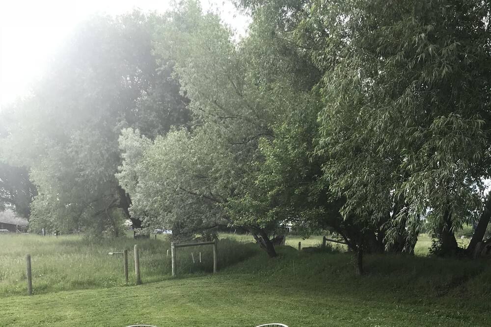 Photo of Others in Livingston