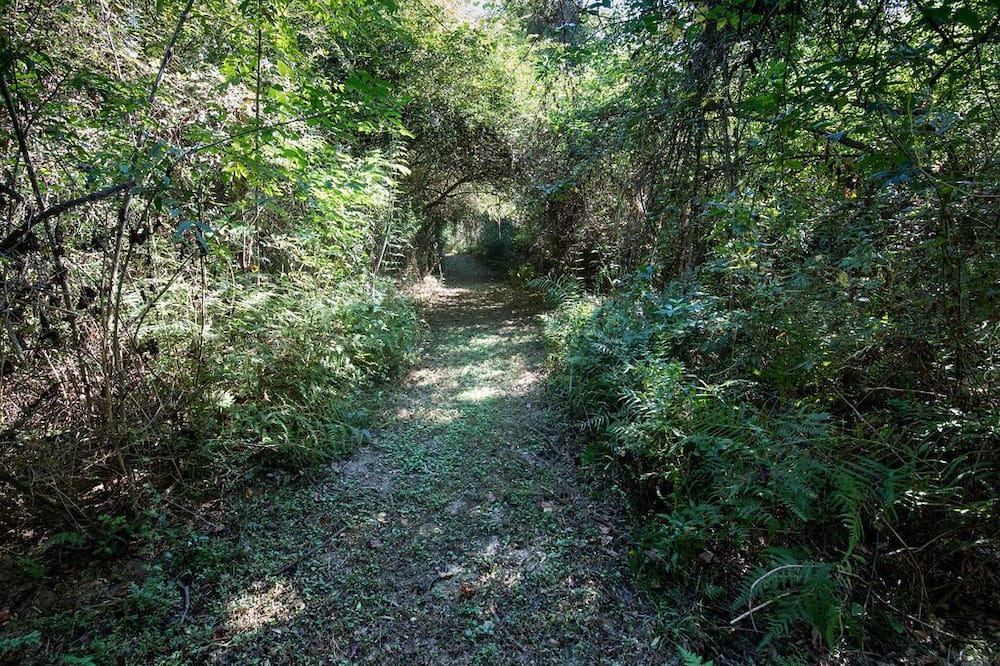 Photo of Outdoor in Baker