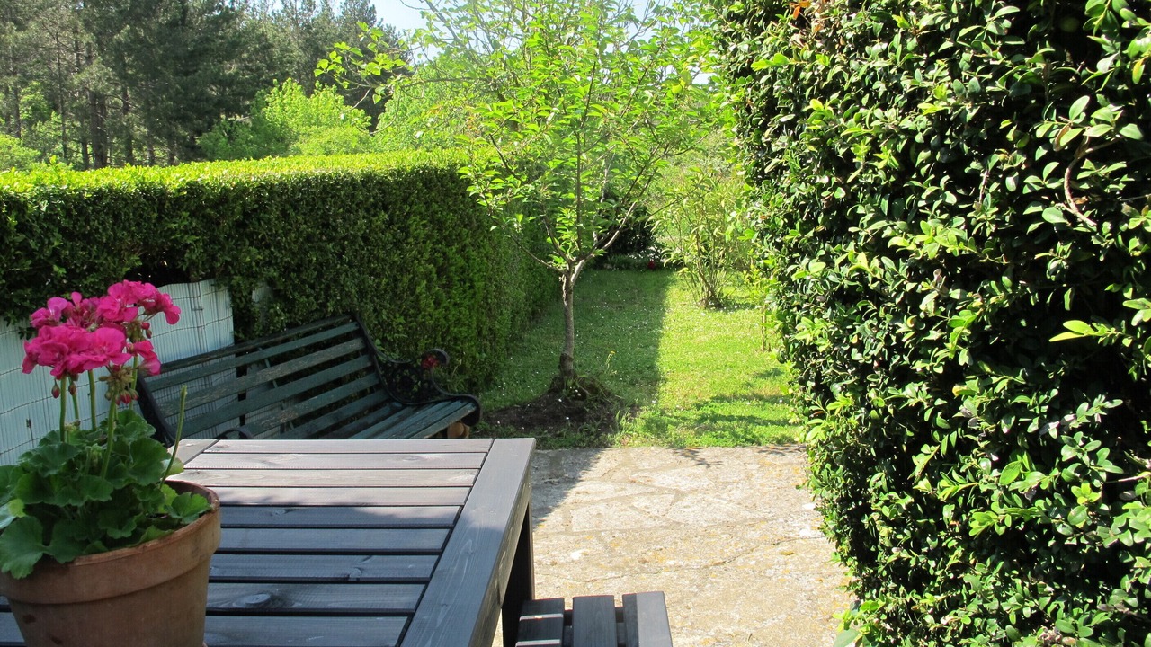 Photo of Outdoor in Saint-Amans