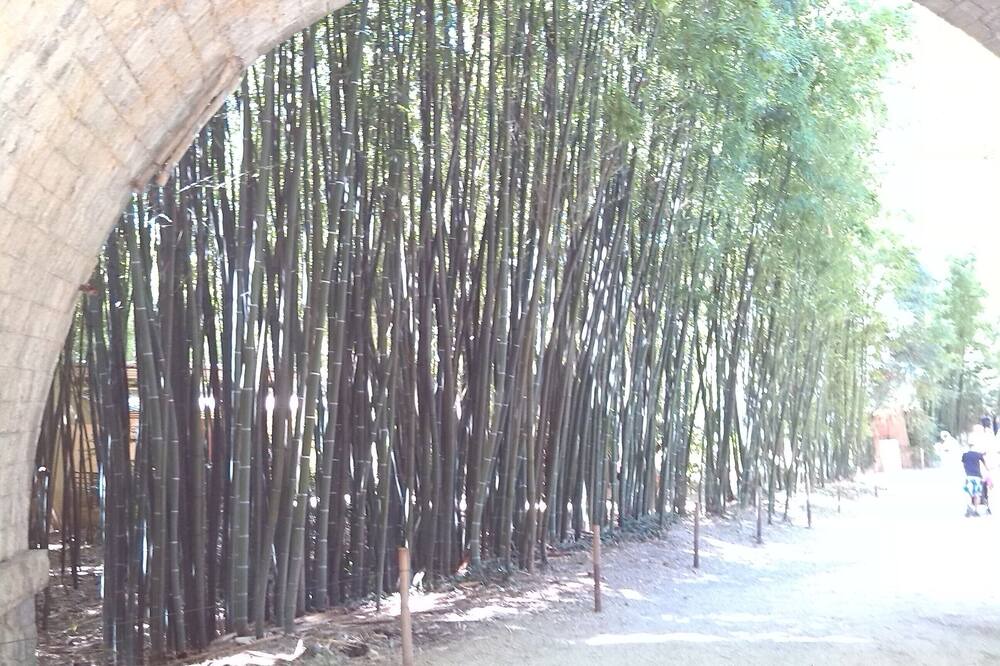 Photo of Outdoor in Aigremont