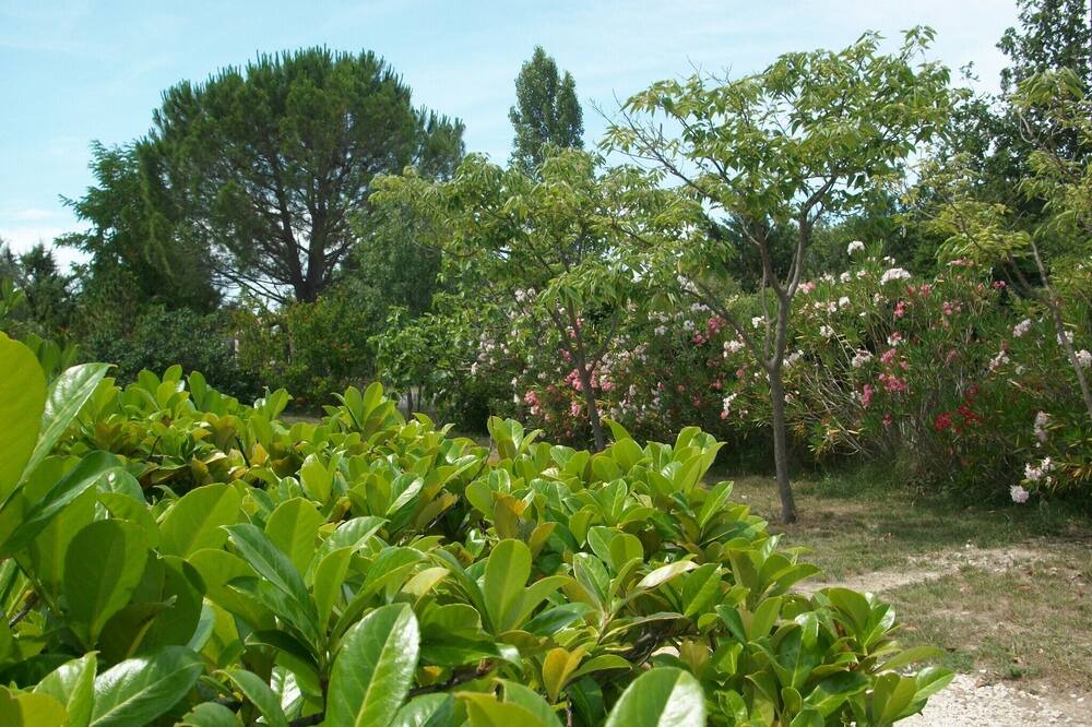 Photo of Outdoor in Aigremont