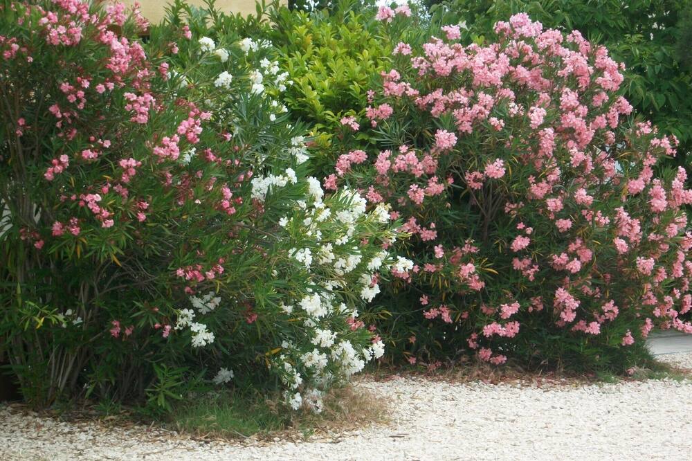 Photo of Outdoor in Aigremont