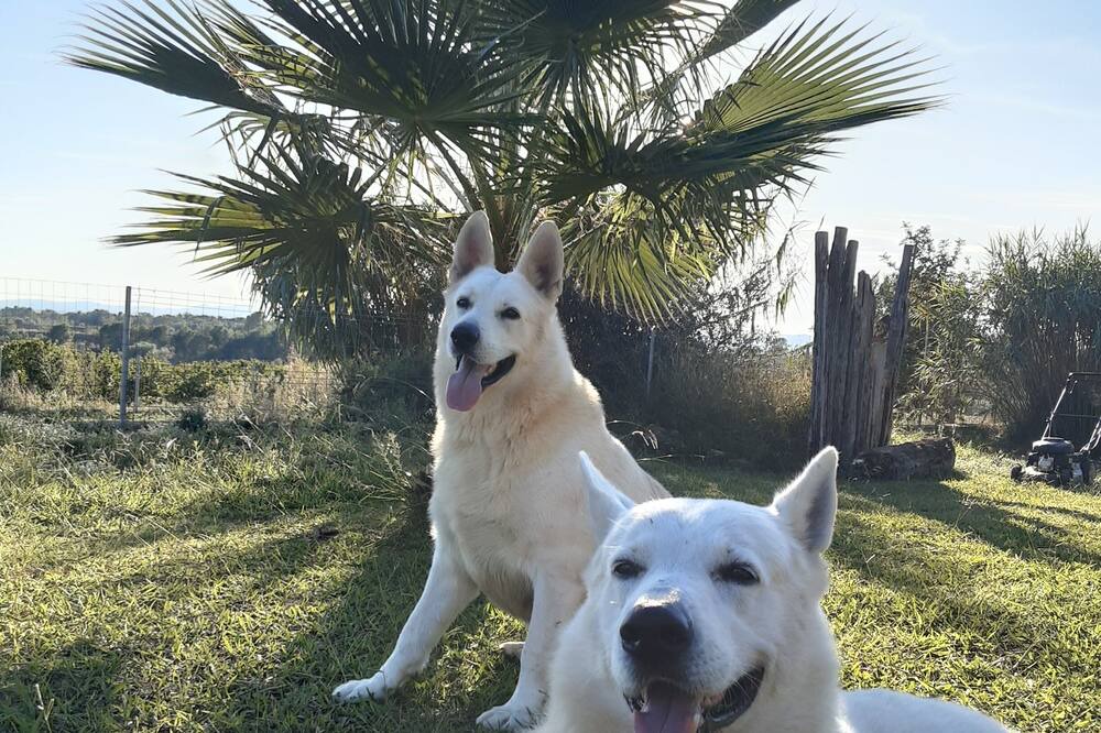 Photo of Outdoor in Ulldecona
