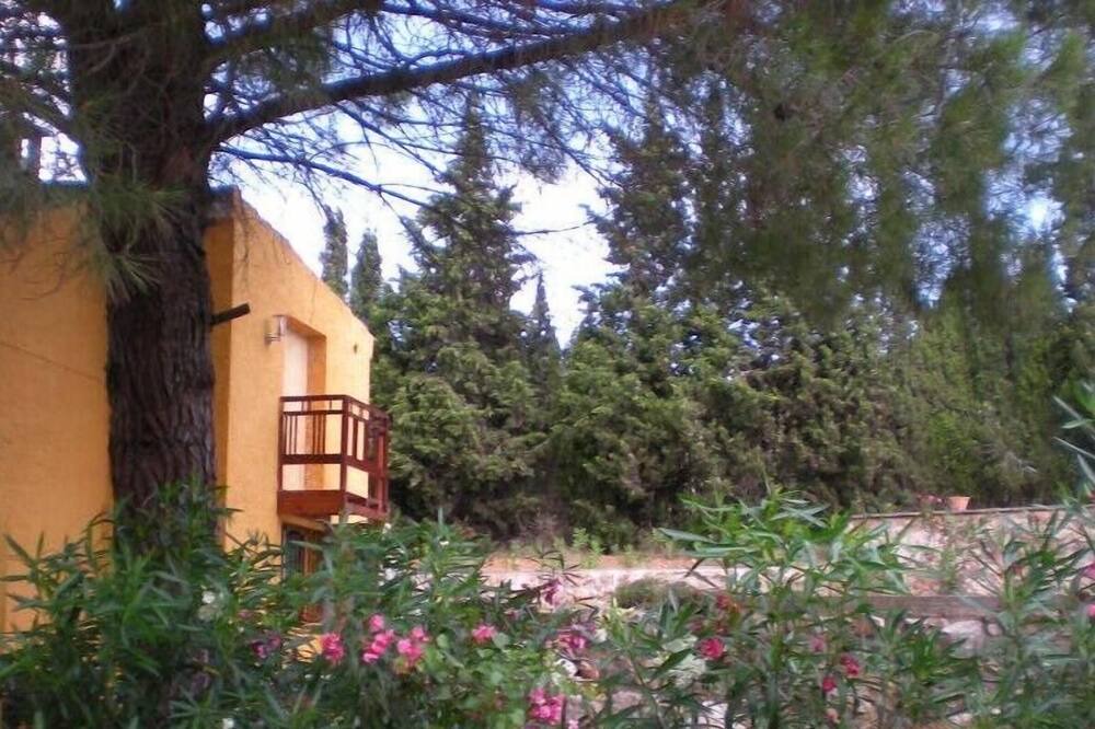 Photo of Outdoor in Ulldecona