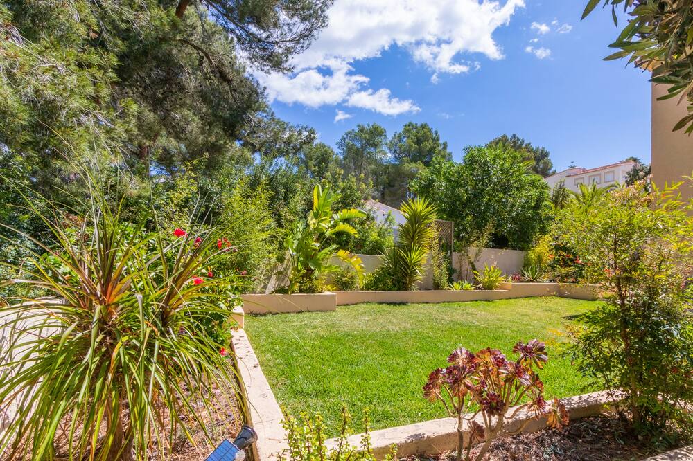 Photo of Outdoor in San Jaime