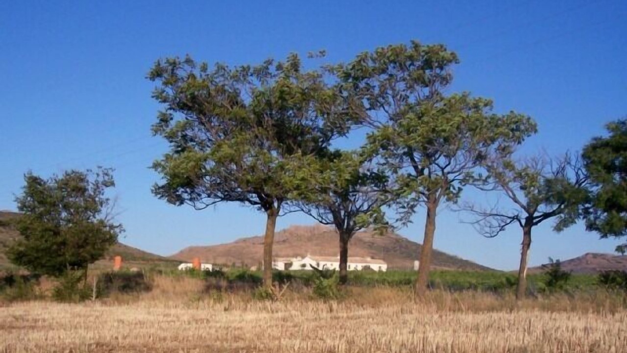 Photo of Outdoor in Mora
