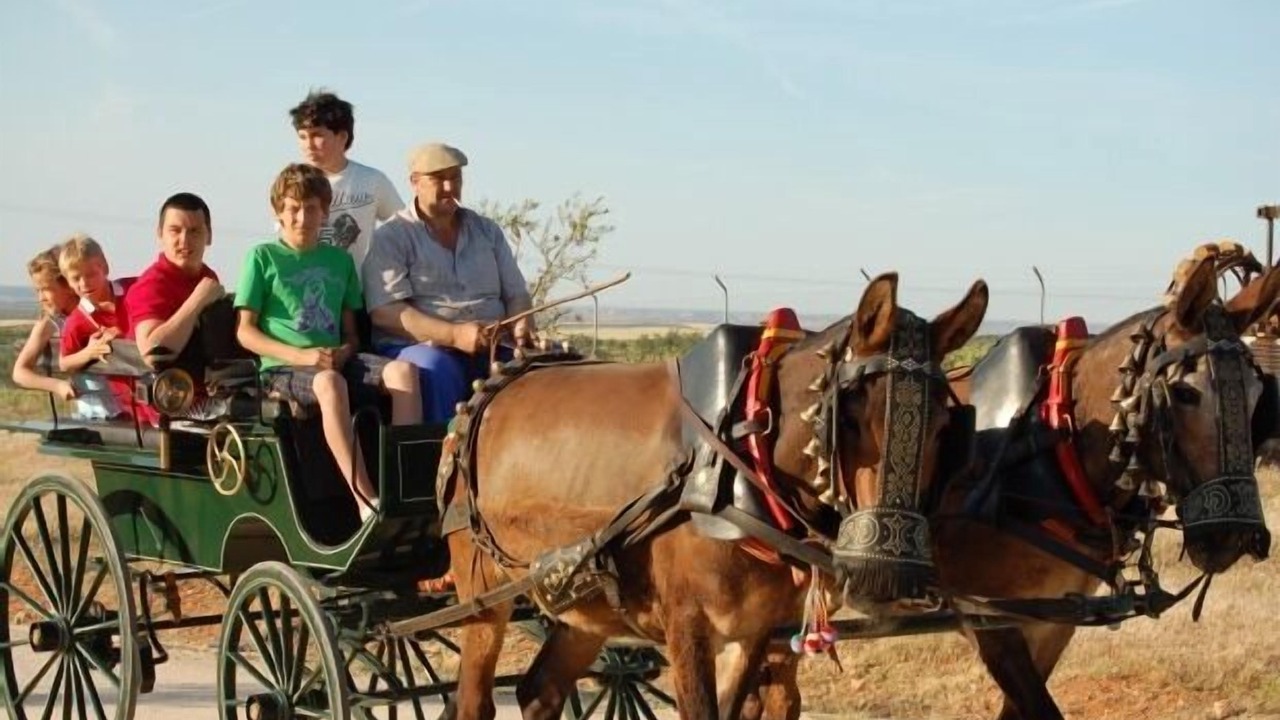 Photo of Others in Mora