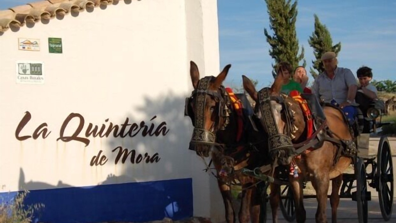 Photo of Outdoor in Mora