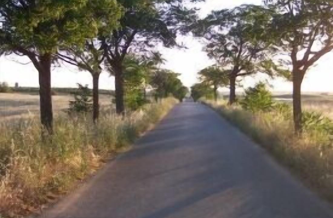Photo of Others in Mora