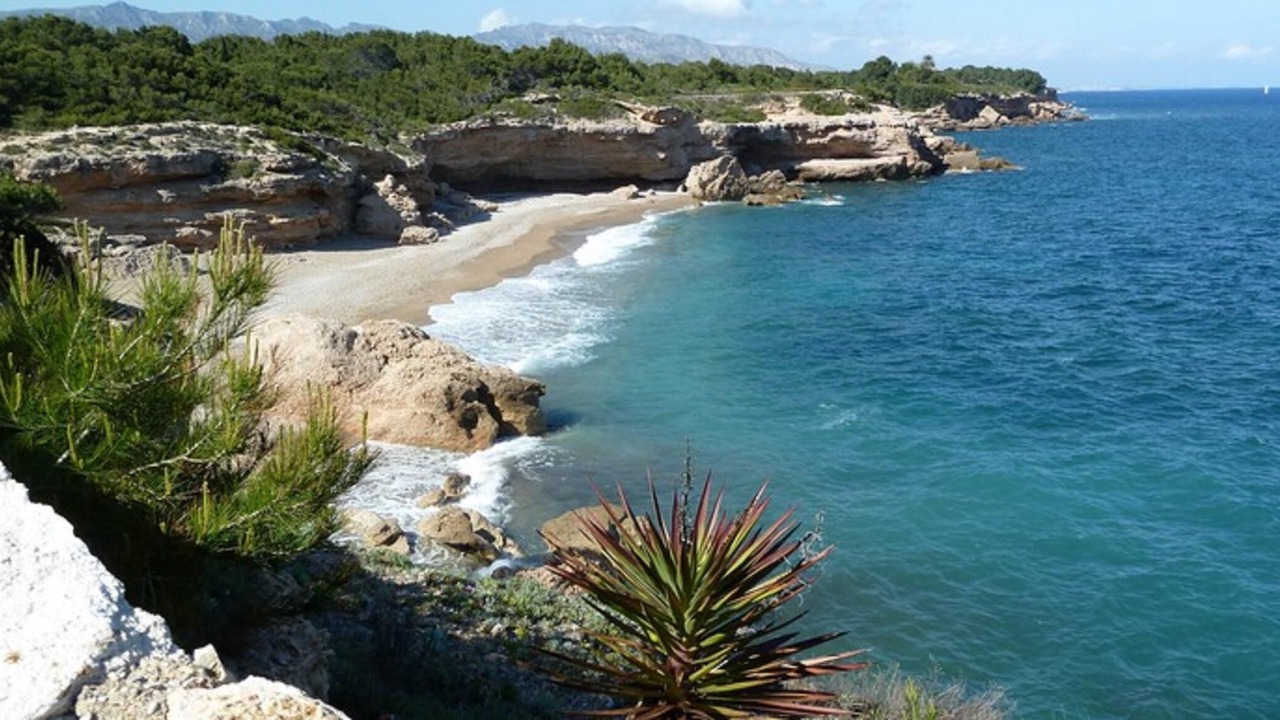 Photo of Others in Les Tres Cales