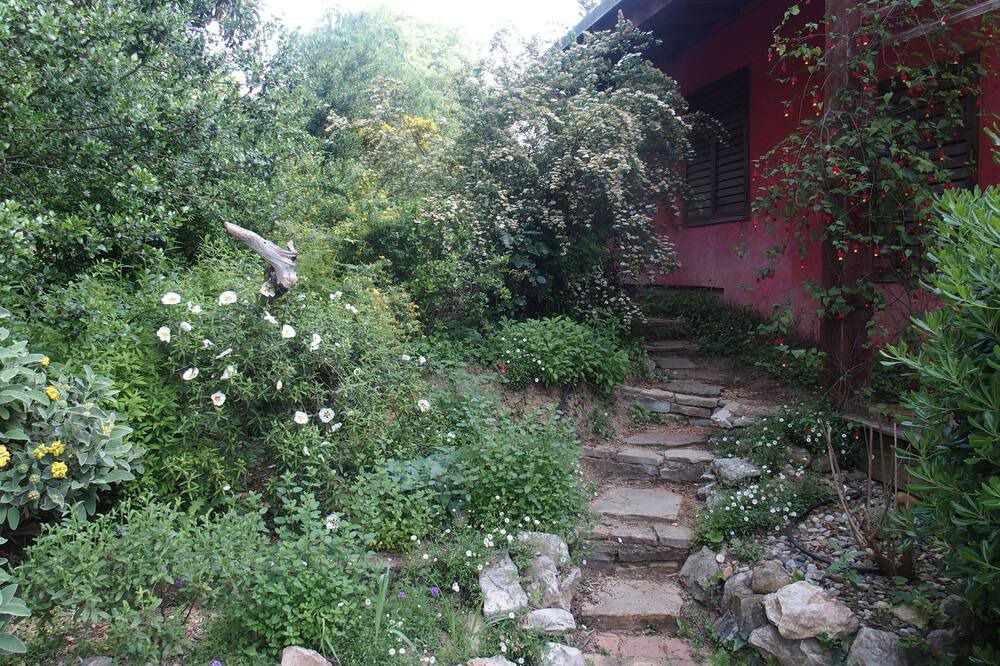 Photo of Outdoor in Castelnau-le-Lez