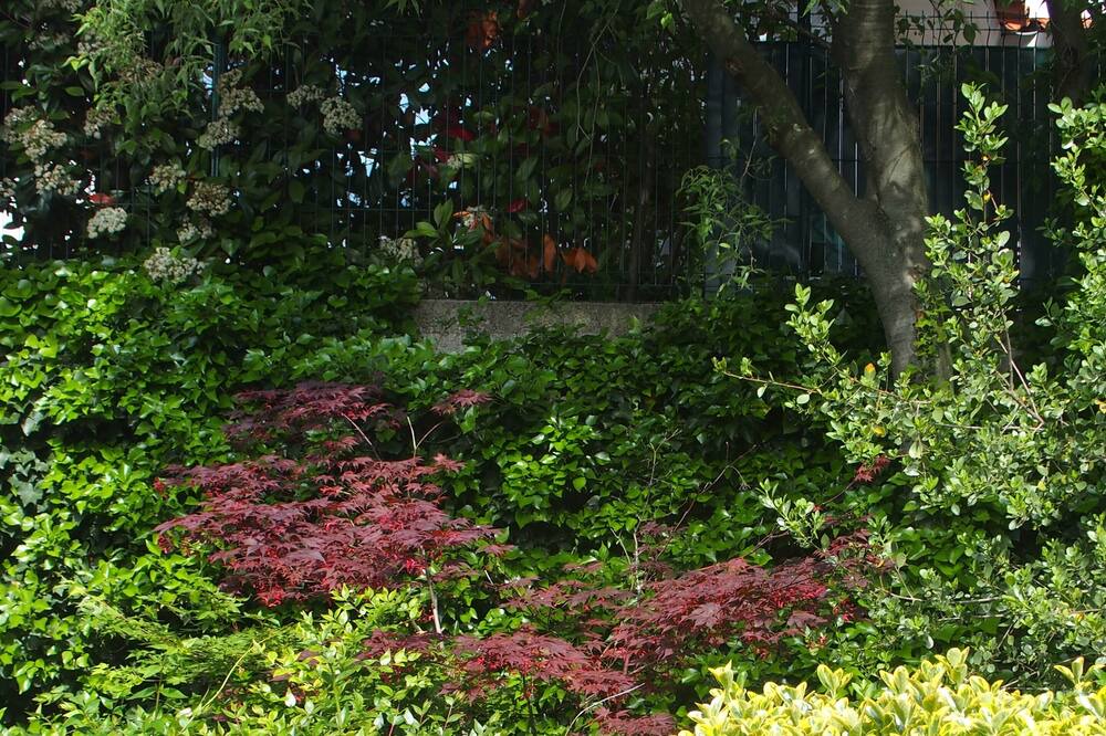 Photo of Outdoor in Castelnau-le-Lez