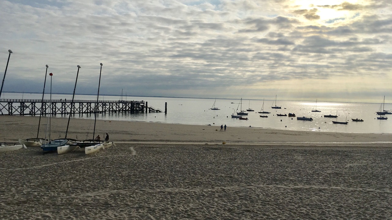 Photo of Others in Noirmoutier-en-l'Ile