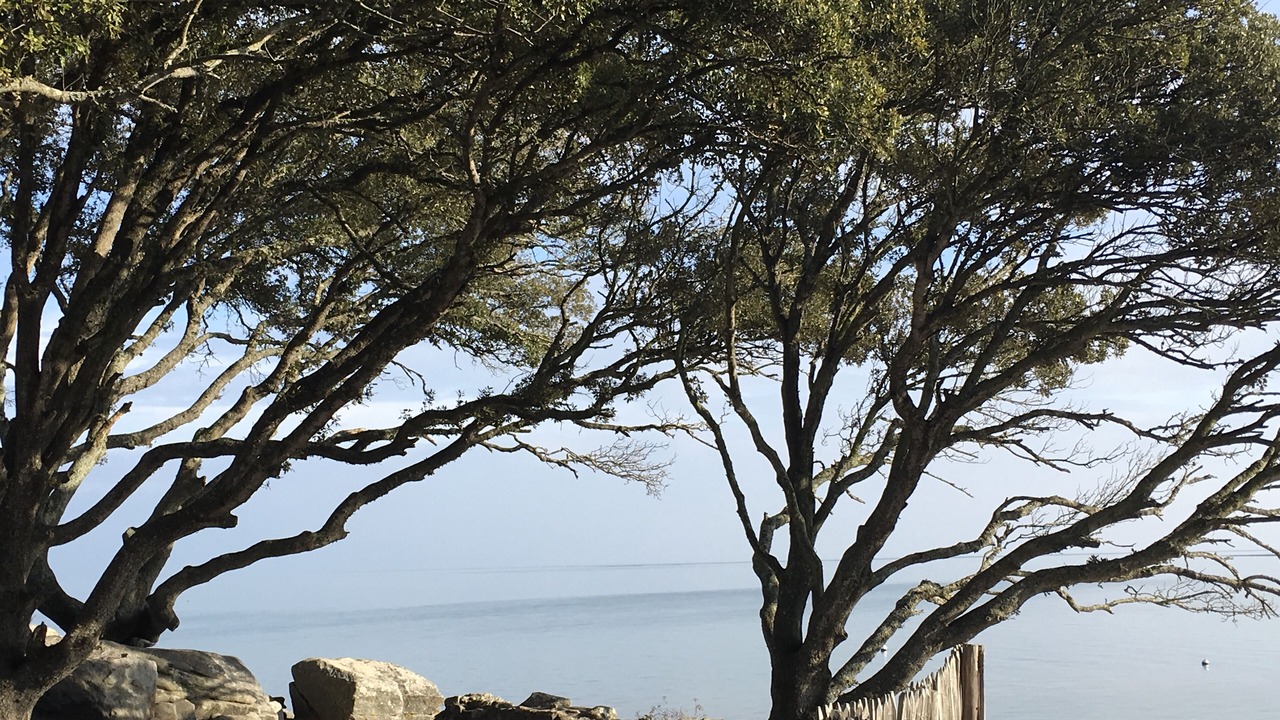 Photo of Others in Noirmoutier-en-l'Ile