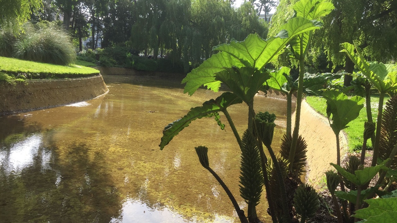 Photo of Outdoor in Downtown Le Havre