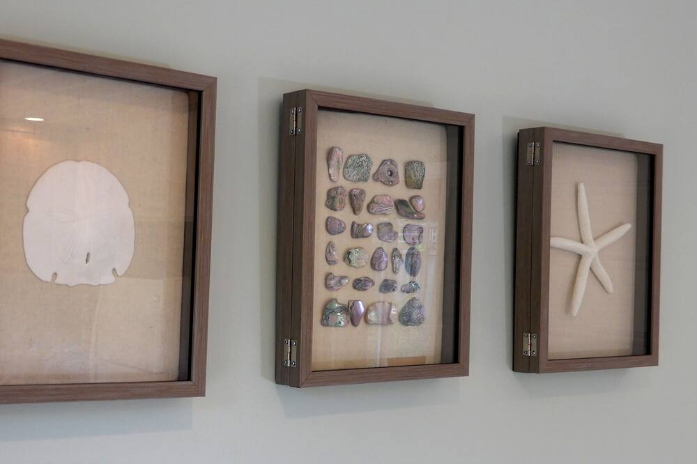 Photo of Others in Opal Cliffs