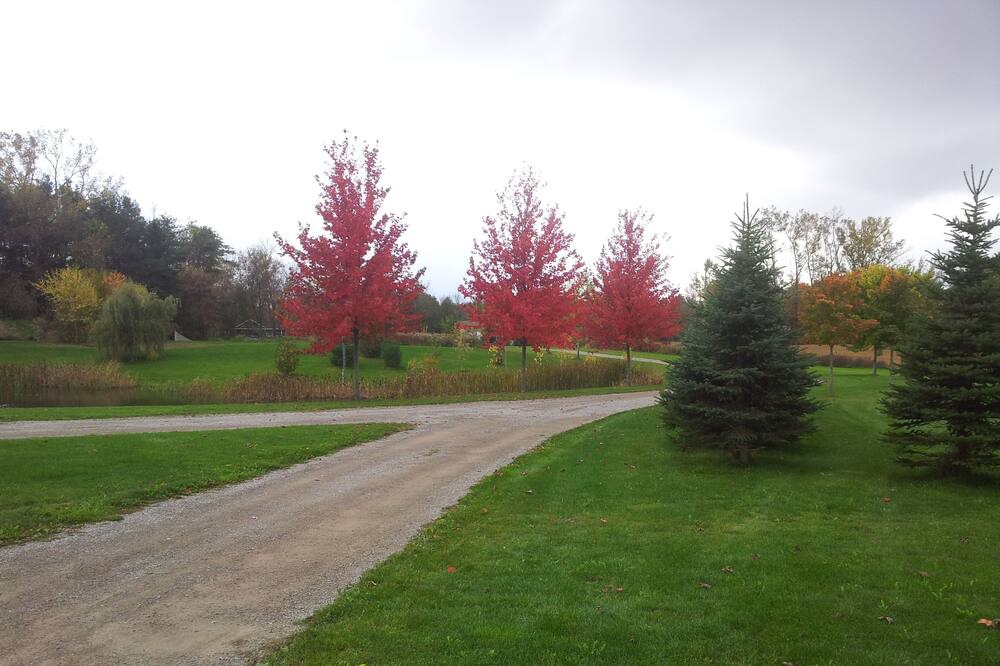 Photo of Outdoor in Hamilton