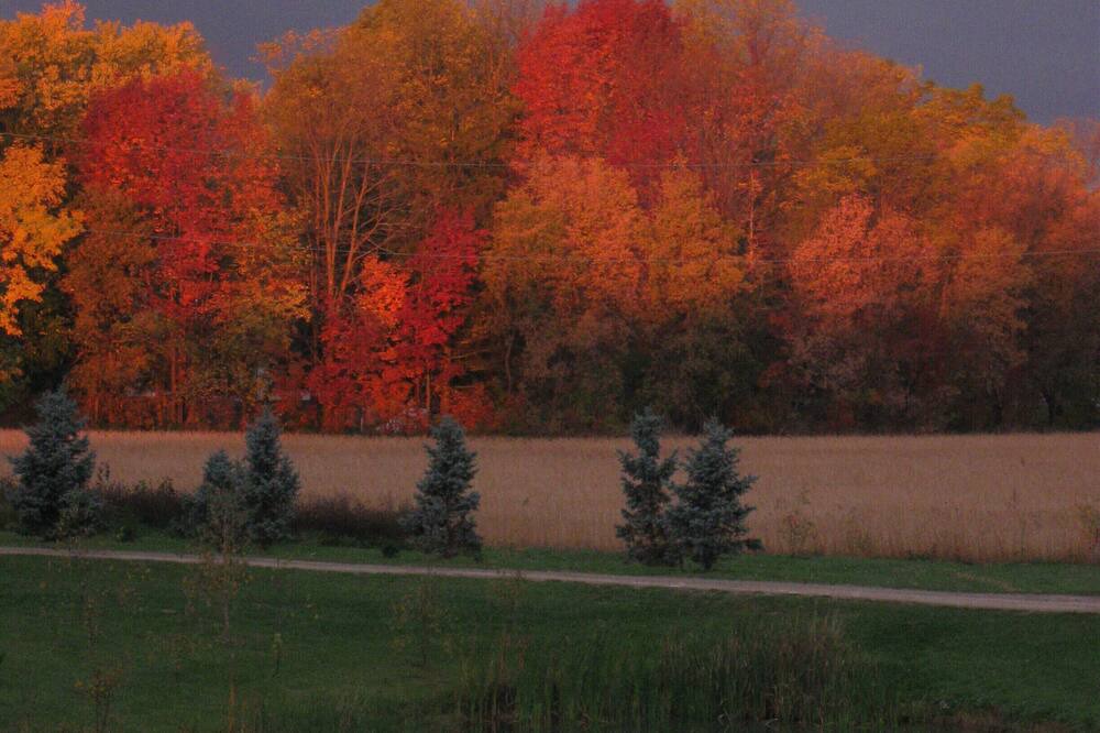 Photo of Outdoor in Hamilton