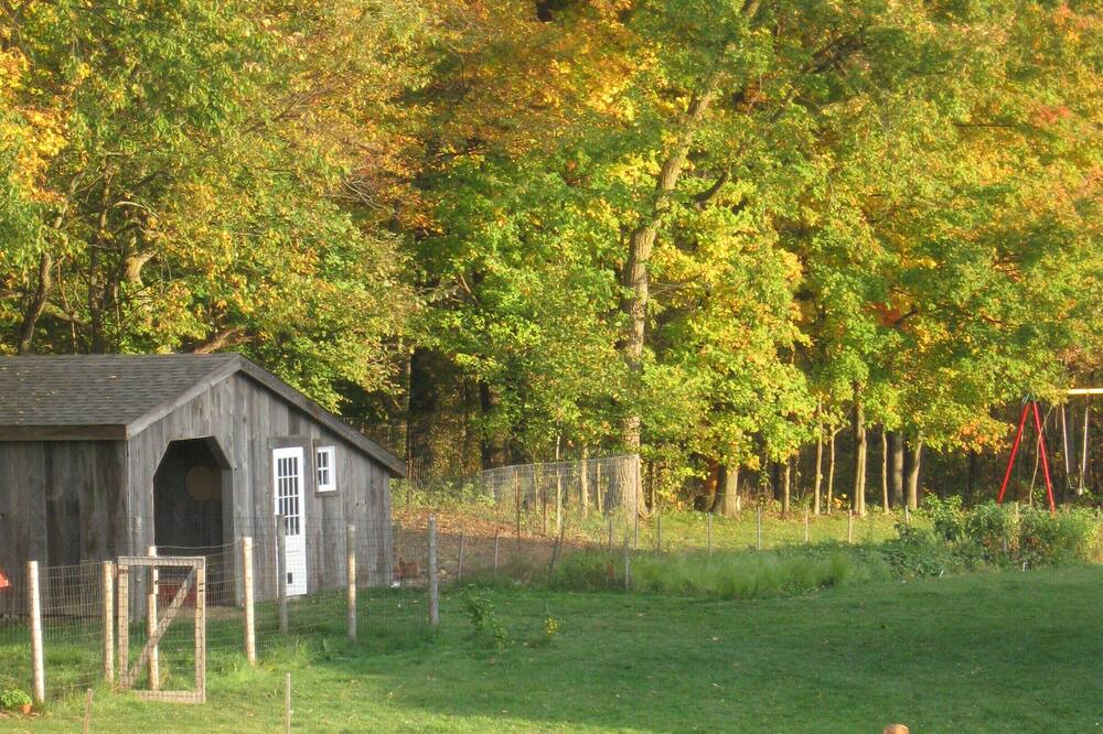 Photo of Outdoor in Hamilton