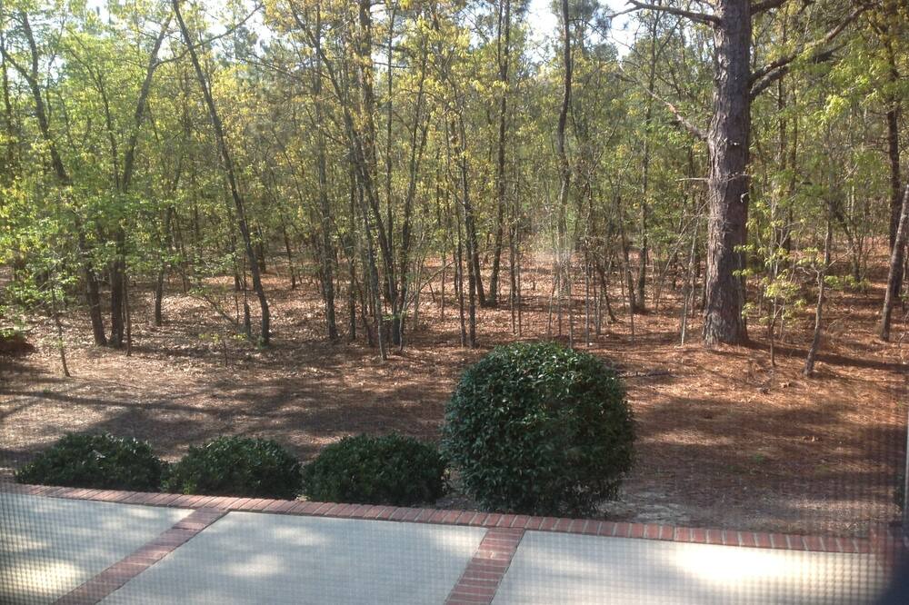 Photo of Others in Pinehurst
