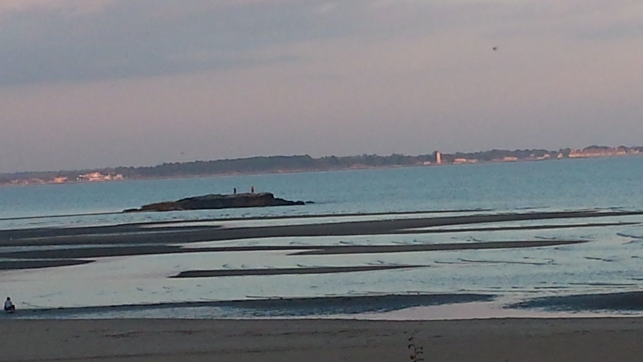 Photo of Others in West Haven