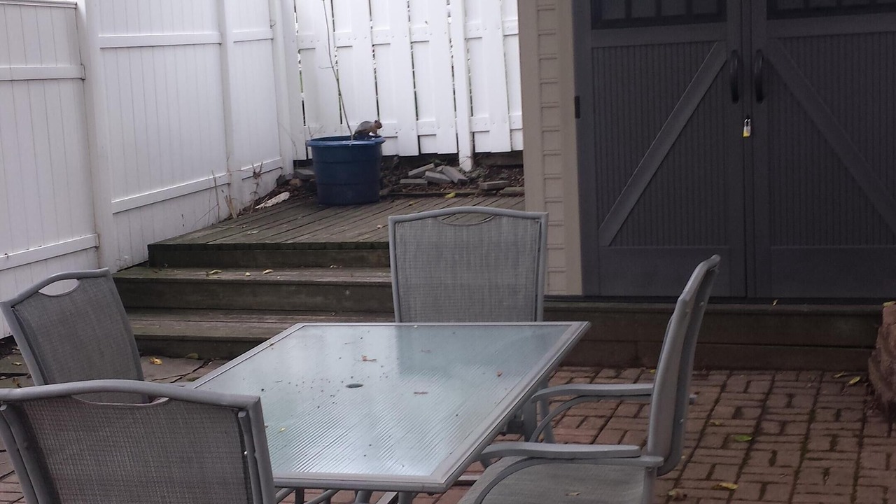 Photo of Patio Balcony in West Haven
