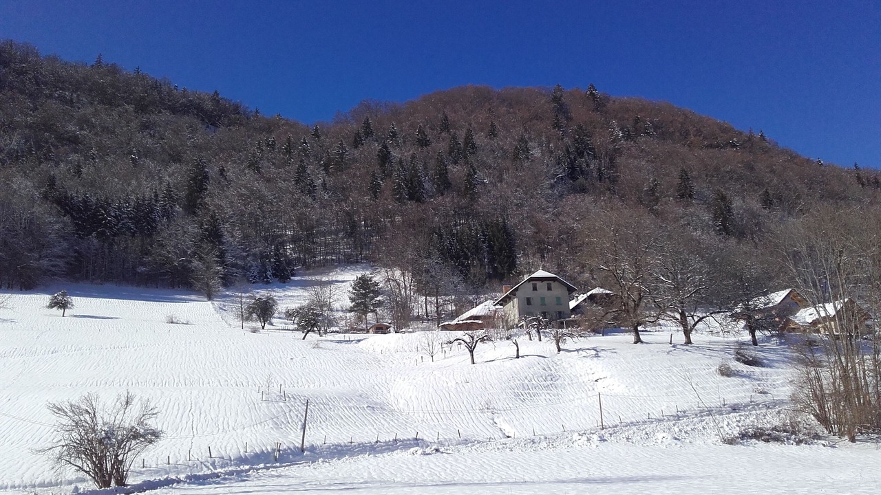 Photo of Outdoor in Faverges-Seythenex