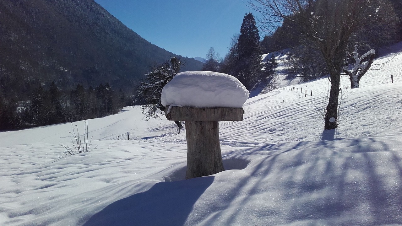 Photo of Outdoor in Faverges-Seythenex
