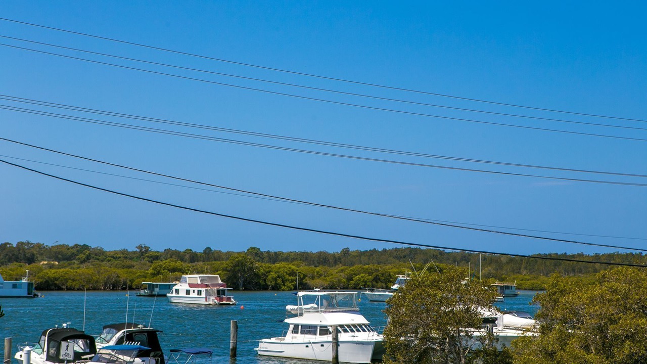 Photo of Others in Tea Gardens