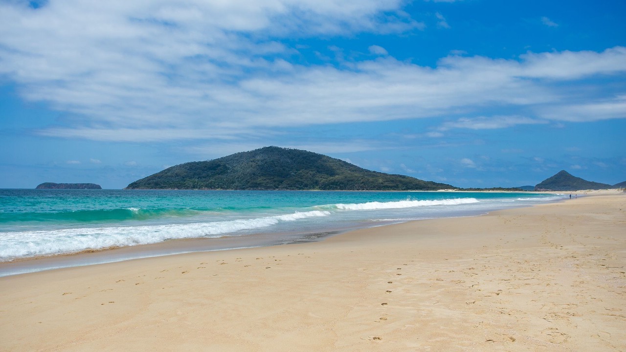 Photo of Others in Tea Gardens